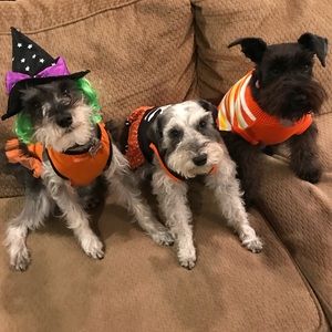 Meet your Posher, Patricia